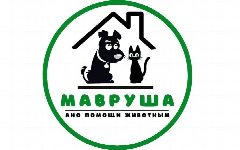 Канал Мавруша | приют | г.Новосибирск в мессенджере MAX — 98 подписчиков
