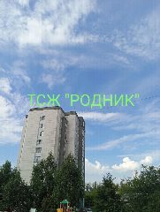 Канал ТСЖ "РОДНИК" в мессенджере MAX — 155 подписчиков