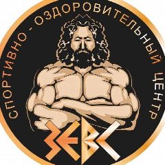 Канал МАУ ЦСК, спортивный клуб ЗЕВС в мессенджере MAX — 17 подписчиков