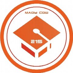 Канал МАОУ СОШ № 215 в мессенджере MAX — 3 179 подписчиков