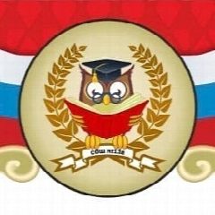 Канал МАОУ СОШ №138 г. Новосибирск в мессенджере MAX — 1 003 подписчика
