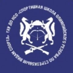 Канал СШОР по стрелковым видам спорта Новосибирск в мессенджере MAX — 78 подписчиков