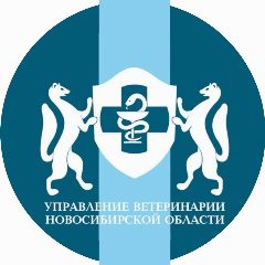 Канал Управление ветеринарии Новосибирской области в мессенджере MAX — 245 подписчиков