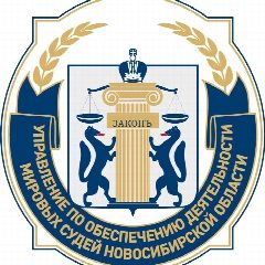Канал Управление по обеспечению деятельности мировых судей НСО в мессенджере MAX — 76 подписчиков