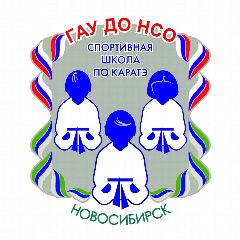 Канал ГАУ ДО НСО «СШ по каратэ» в мессенджере MAX — 215 подписчиков
