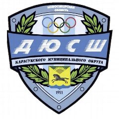 Канал МБУ ДО ДЮСШ Карасукского муниципального округа Новосибирской области в мессенджере MAX — 52 подписчика