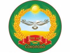 Канал Администрация Соколовского сельсовета Колыванского района в мессенджере MAX — 14 подписчиков
