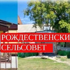 Канал Администрация Рождественского сельсовета Купинского района Новосибирской области в мессенджере MAX — 65 подписчиков