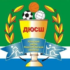 Канал Новости МБУ ДО «Убинская ДЮСШ» в мессенджере MAX — 95 подписчиков