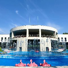Канал Парк-отель Хвоя Новосибирск в мессенджере MAX — 417 подписчиков