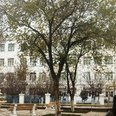 Канал МБОУ СОШ 1 имени Магомедова М.М. в мессенджере MAX — 1 038 подписчиков