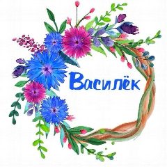 Канал МБДОУ "ЦРР-детский сад №1 "Василёк" в мессенджере MAX — 59 подписчиков