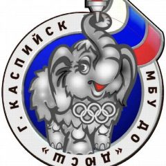 Канал МБУ ДО «ДЮСШ» города Каспийска в мессенджере MAX — 60 подписчиков