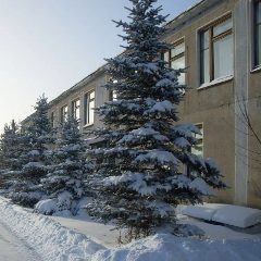 Канал Официальный канал МБДОУ "Смирновский детский сад" в мессенджере MAX — 56 подписчиков