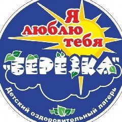 Канал ДОЛ БЕРЕЗКА55 в мессенджере MAX — 488 подписчиков