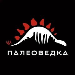 Канал ПАЛЕОВЕДКА Клуб в мессенджере MAX — 305 подписчиков