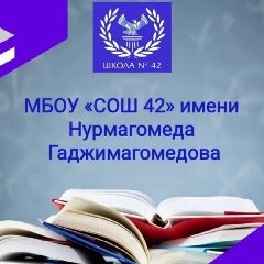 Канал МБОУ СОШ 42 им.Н.Гаджимагомедова в мессенджере MAX — 1 207 подписчиков