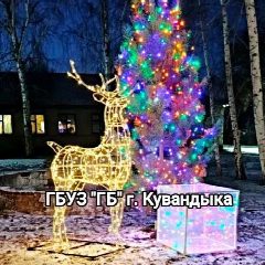 Канал ГБУЗ "ГБ" г. Кувандыка в мессенджере MAX — 254 подписчика