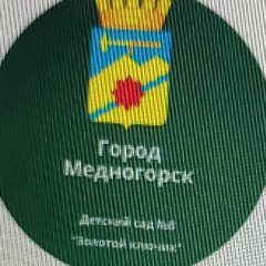 Канал МБДОУ "Детский сад № 8 "Золотой ключик" г.Медногорска" в мессенджере MAX — 73 подписчика