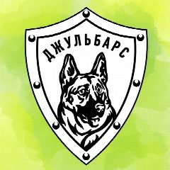 Канал АНО защиты животных ДЖУЛЬБАРС в мессенджере MAX — 491 подписчик