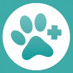 Канал МурВет|Ветеринарная клиника🐾 в мессенджере MAX — 273 подписчика