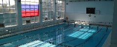 Канал МАУДО "СШ "Авангард" г.Орска в мессенджере MAX — 17 подписчиков