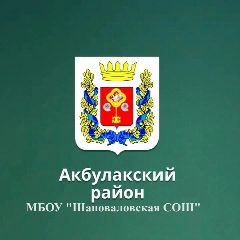 Канал МБОУ "Шаповаловская СОШ" в мессенджере MAX — 52 подписчика