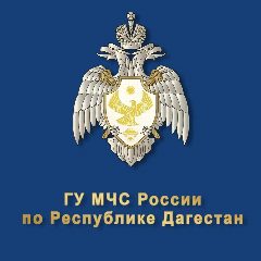 Канал Главное управление МЧС России по Республике Дагестан в мессенджере MAX — 1 509 подписчиков