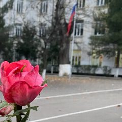 Канал МБОУ «Гимназия №4» в мессенджере MAX — 1 058 подписчиков