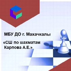 Канал МБУ ДО "СШ по шахматам Карпова А.Е." в мессенджере MAX — 44 подписчика