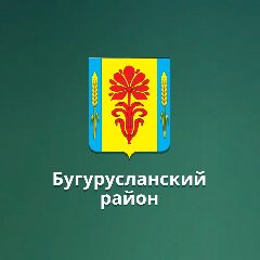 Канал МБОУ "Староузелинская ООШ имени Героя Советского Союза Д. А. Прыткова" в мессенджере MAX — 36 подписчиков