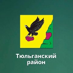 Канал ШКОЛЬНАЯ ИСТОРИЯ МБОУ "Тюльганская СОШ 1" в мессенджере MAX — 527 подписчиков