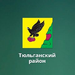 Канал МБДОУ "Детский сад "Снежинка" в мессенджере MAX — 55 подписчиков