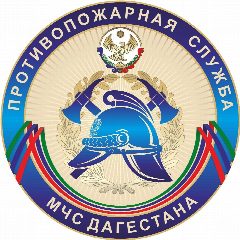 Канал ПРОТИВОПОЖАРНАЯ СЛУЖБА РЕСПУБЛИКИ ДАГЕСТАН в мессенджере MAX — 619 подписчиков