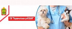 Канал ГБУ ПО «Наровчатская райСББЖ» в мессенджере MAX — 48 подписчиков