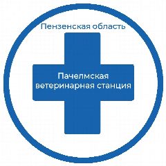 Канал ГБУ "Пачелмская ветеринарная станция" в мессенджере MAX — 13 подписчиков