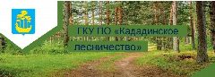 Канал ГКУ ПО "Кададинское лесничество" в мессенджере MAX — 22 подписчика