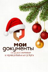 Канал МФЦ Пензенской области в мессенджере MAX — 163 подписчика