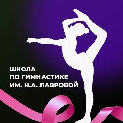 Канал Школа по гимнастике имени Н.А. Лавровой в мессенджере MAX — 84 подписчика