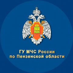 Канал МЧС Пензенской области в мессенджере MAX — 1 425 подписчиков