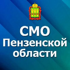 Канал СМО Пензенской области в мессенджере MAX — 78 подписчиков