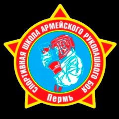Канал МАУ ДО "СШ армейского рукопашного боя". г. Перми в мессенджере MAX — 64 подписчика