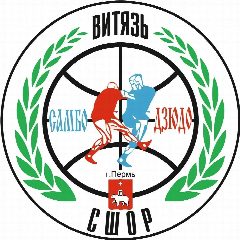 Канал МАУ ДО "СШОР по самбо и дзюдо "Витязь" имени И.И. Пономарева" г. Перми в мессенджере MAX — 11 подписчиков
