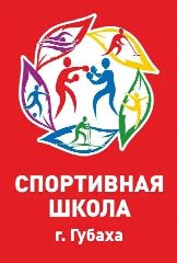 Канал Спортивная школа г.Губахи в мессенджере MAX — 42 подписчика