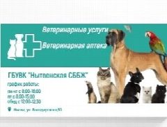 Канал ГБУВК «Нытвенская СББЖ» Ветеринарные услуги. в мессенджере MAX — 11 подписчиков
