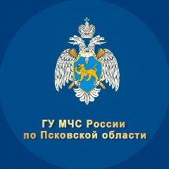 Канал МЧС Псковской области в мессенджере MAX — 1 804 подписчика