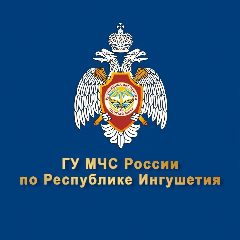 Канал МЧС по Ингушетии в мессенджере MAX — 312 подписчиков