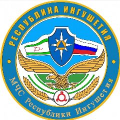 Канал МЧС Республики Ингушетия в мессенджере MAX — 46 подписчиков