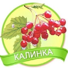 Канал ДОУ 33 "Калинка" в мессенджере MAX — 16 подписчиков