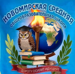 Канал МБОУ Новомирская СОШ Азовского района - официальный канал ОО в мессенджере MAX — 246 подписчиков